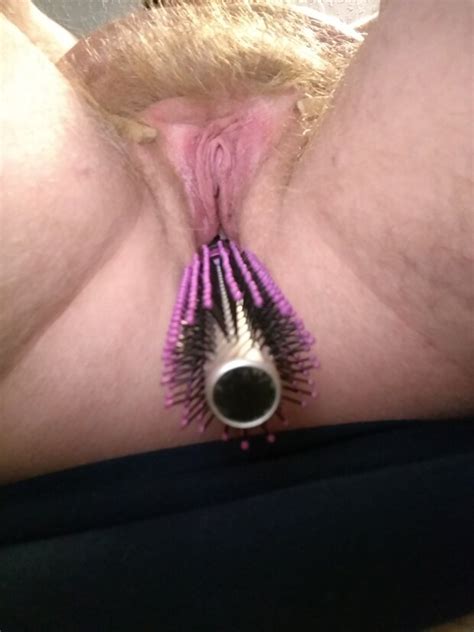 Pussy Clothespinned Open Hairbrush Handle Stuffed Boxfullofcrayons