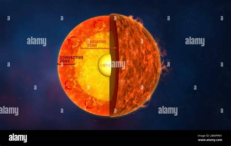 Computer Illustration Showing The Internal Structure Of The Sun With English Text Labels The