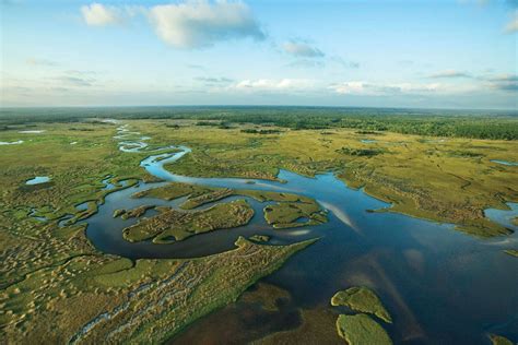 Everglades National Park Location History And Facts Britannica