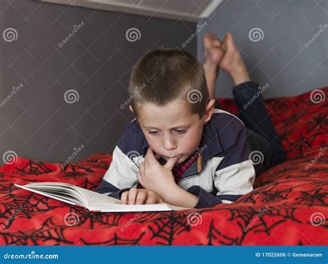 Young Boy Reading A Book Royalty Free Stock Image Image 17022606