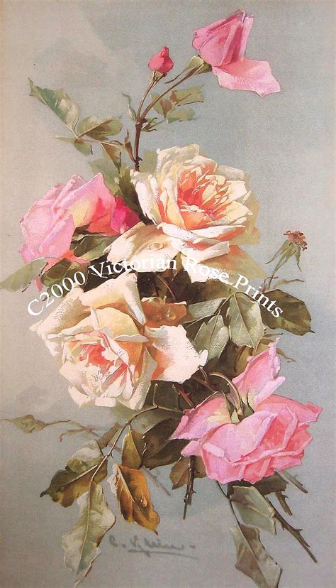 Old Fashioned Victorian Roses Print Victorian Rose Prints