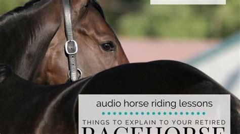 4 Things You Must Retrain Your Retired Racehorse Strides For Success