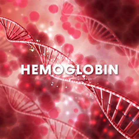 Why Hemoglobin Powder Benefits Of Using Hemoglobin Powder