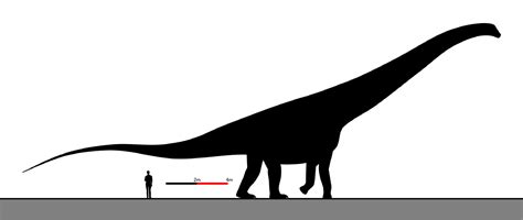 Scientists crown world heavyweight champion of dinosaurs. How Large Were Dinosaurs? | Let's Talk Science