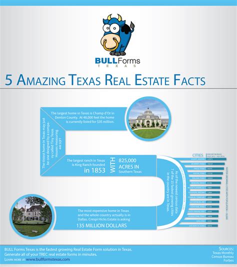 5 Amazing Texas Real Estate Facts Infographic Only Infographic