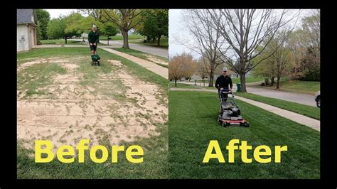 Step By Step Guide To Overseeding Better Looking Lawn Fast Youtube
