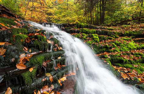 Pennsylvania Autumn Ricketts Glen State Park Waterfall Photograph By