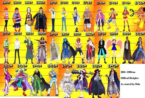 All One Piece Characters With Average Heights 160cm 199cm Official