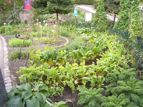 We did not find results for: Edible Gardening | Verdant Earth