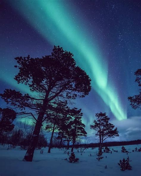 10 Best Things To Do In Swedish Lapland Summer And Winter