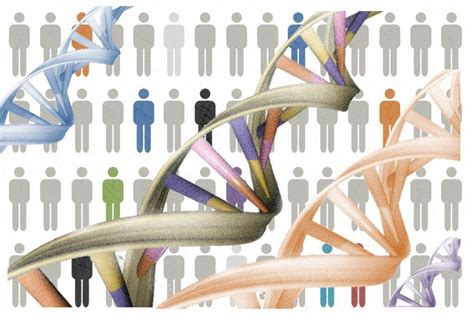 ¿cuántos genes tiene el genoma humano asociación de afectados de neurofibromatosis