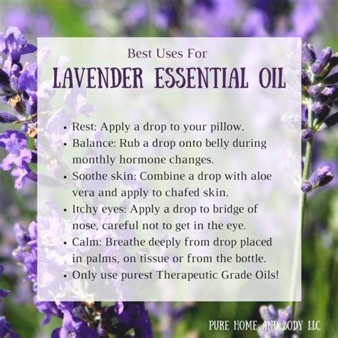 Lavender Most Versatile Essential Oilpure Home And Body Llc