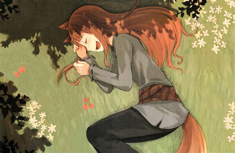 Spice And Wolf Greatest Anime Pictures And Arts Funny