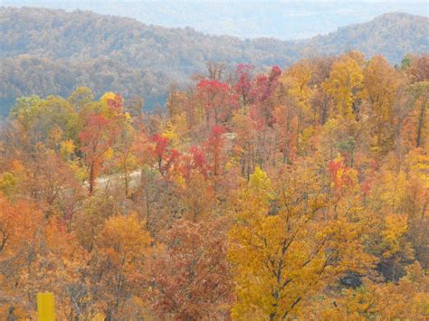 Fall Colors Of Knott County Ky My Old Kentucky Home Kentucky Fall