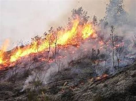 Jun 28, 2021 · un grosso incendio si è sviluppato nella stazione di elephant and castle, nella parte meridionale di londra, e sei persone sono rimaste ferite. 3 incendi oggi in Abruzzo, distrutti 8 ettari di ...