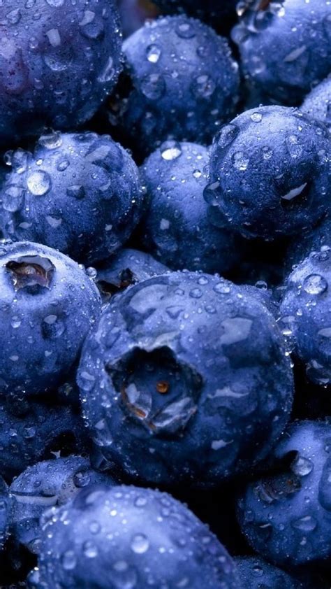 Blueberries Berries Berry Fruits Blue Hd Phone Wallpaper Peakpx