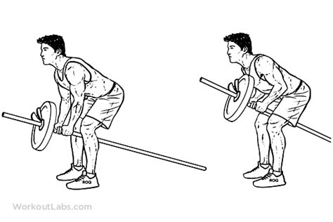 Bent Over Two Arm Long Barbell T Bar Rows Workoutlabs