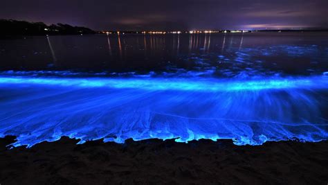 Jervis Bay At Its Best As Bioluminescence Puts On A Show South Coast