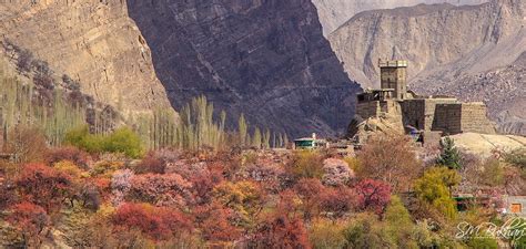 Altit Fort In Blossom Season Hunza Pakistan Express Photos