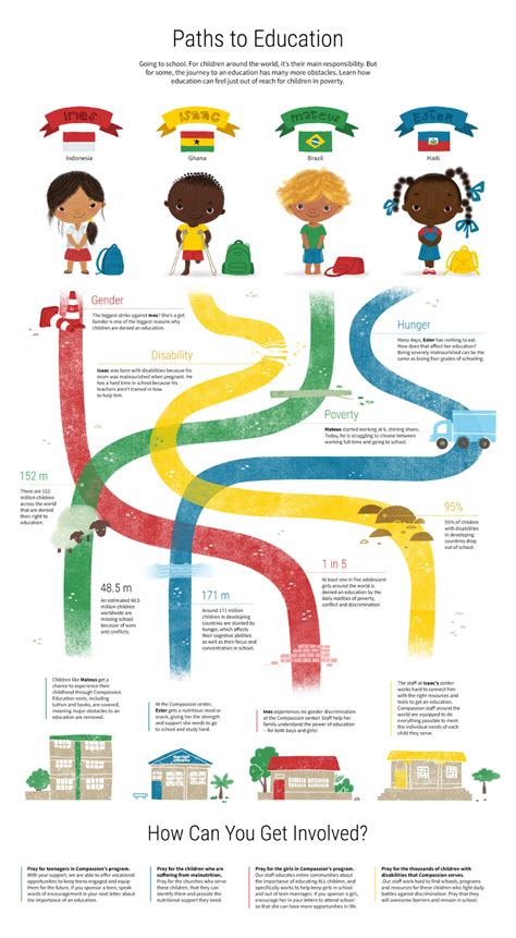 Paths To Education Infographic Educational Infographic