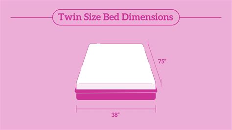 Twin Xl Mattress And Twin Size Bed Dimensions Eachnight