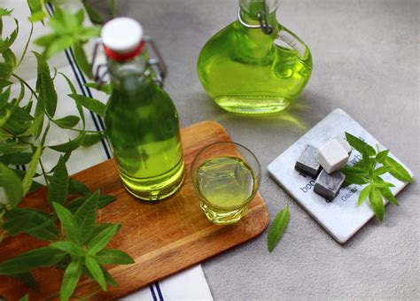 Comment faire sa liqueur de verveine maison Royal Chill