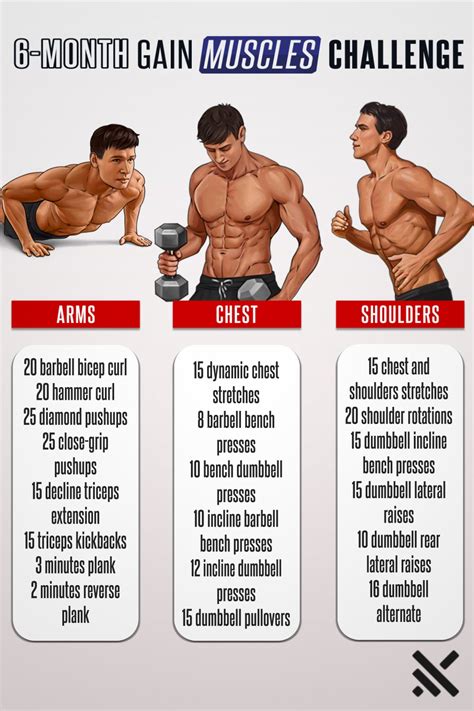 Get Prepared For Summer And Muscle Boost Yourself Gym Workout For Beginners Workout