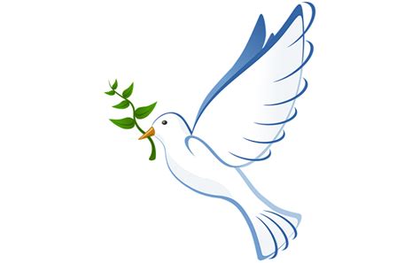 Dove With Olive Branch Meaning And Symbolism Meaning Zone