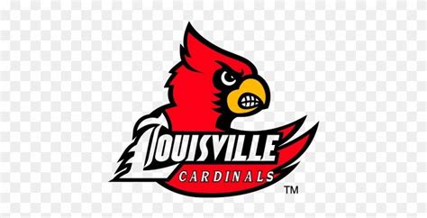 Louisville Cardinal Bird Logo Logodix