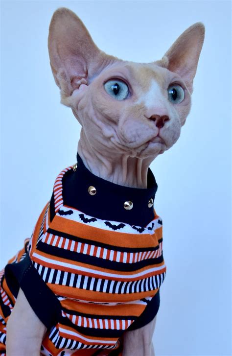 Sphynx Cat Clothing Hairless Hipsters