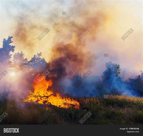 Wind Blowing On Flaming Trees Image And Photo Bigstock