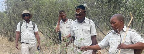 Get To Know The Bushmen Of The Kalahari Cazenove Loyd