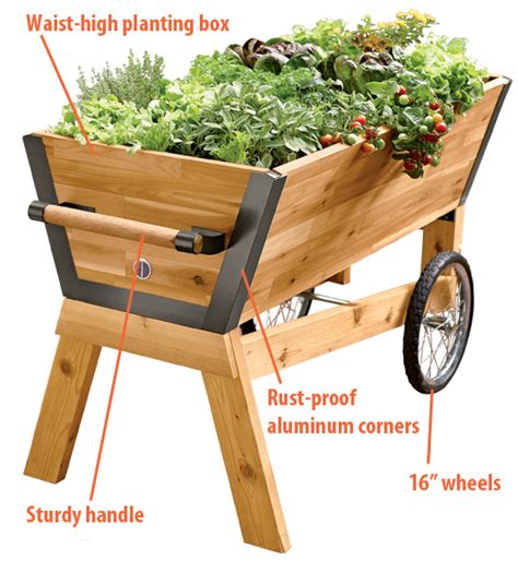 Creating raised beds and trellising melons in a how to build an architectural raised bed. Introducing U-Gardens