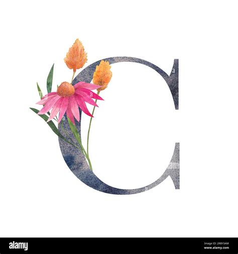Letra C Con Flores Silvestres De Acuarela Alfabeto Floral Conjunto De