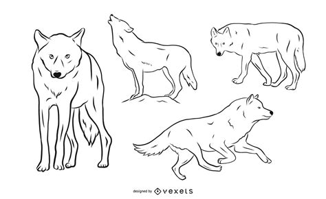 Wild Wolf Pack Collection Clipart For Free Download Freeimages