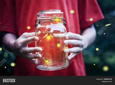 Fireflies Jar Image And Photo Free Trial Bigstock