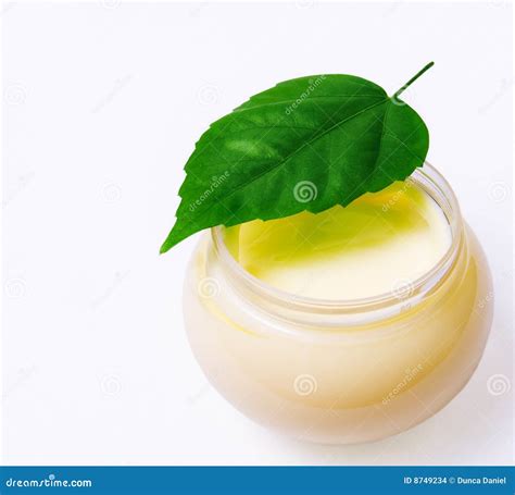 Fresh Green Leaf And Beauty Cream Isolated Stock Photo Image Of