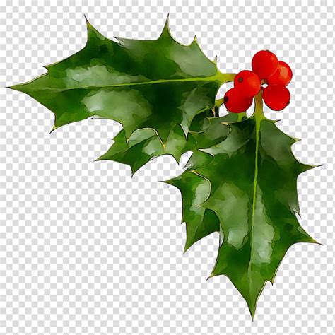 Free Download Red Christmas Tree Christmas Day Common Holly Holly And The Ivy Leaf Plant