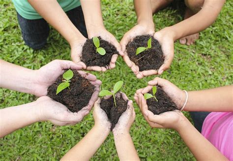 Qué Es La Ecología Qué Características Tiene Y Qué Estudia