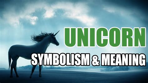 Unicorn Spirit Animal Symbolism And Meaning Sign Meaning Youtube