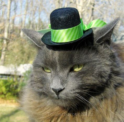 Cat Top Hat Green Bright Chartreuse Pet Hat By