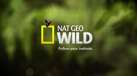 Nat Geo Posted By Ryan Cunningham National Geographic Logo Hd