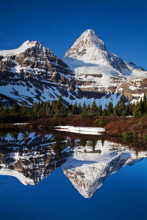 Mount Assiniboine Stock Photo Image Of Canadian Nature 134180728