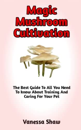 Magic Mushroom Cultivation A Step By Step Guide On How To Grow Your