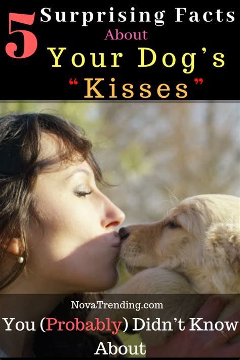 5 Surprising Facts About Dog Kisses You Probably Didnt Know About