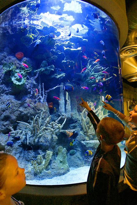 The Houston Aquarium Has More Than 300 Species Of Life From Around The