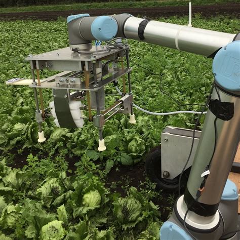 Robot Uses Machine Learning To Harvest Lettuce Agri Teche