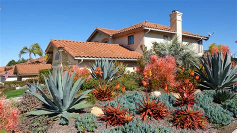 What Is Xeriscaping And How To Apply It Tips By Gardening Experts