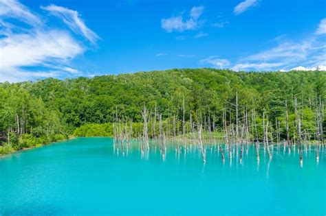 Premium Photo Panorama View Of Blue Pond In Biei Hokkaido Japan