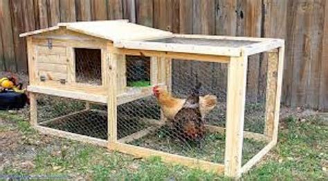 Chicken Coop Plans 24 Simple Designs You Can Build Yourself